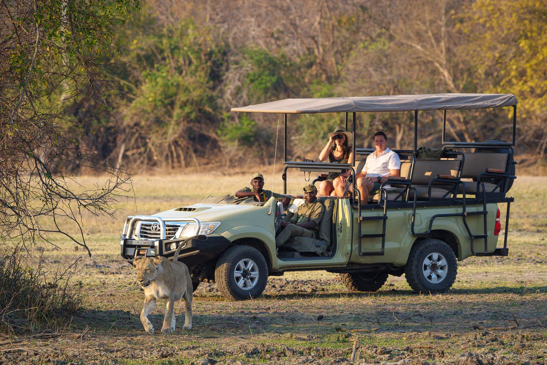 Family and Group Tours